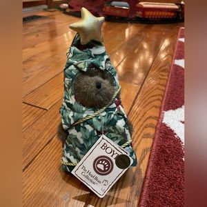Boyd’s bear